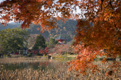 大覚寺　大沢池