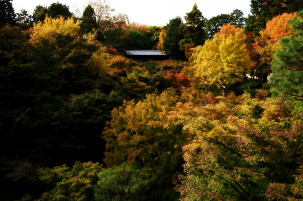 東福寺