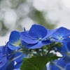 DSC00176