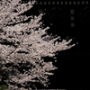 知恩院