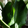 P1020197