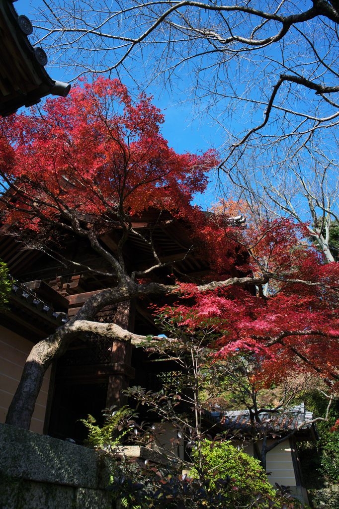 光明寺