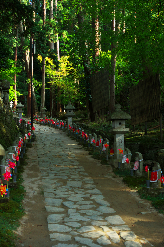 滋賀・金剛輪寺