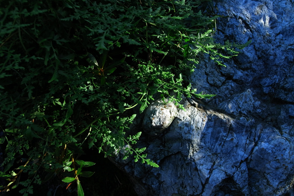R0010115