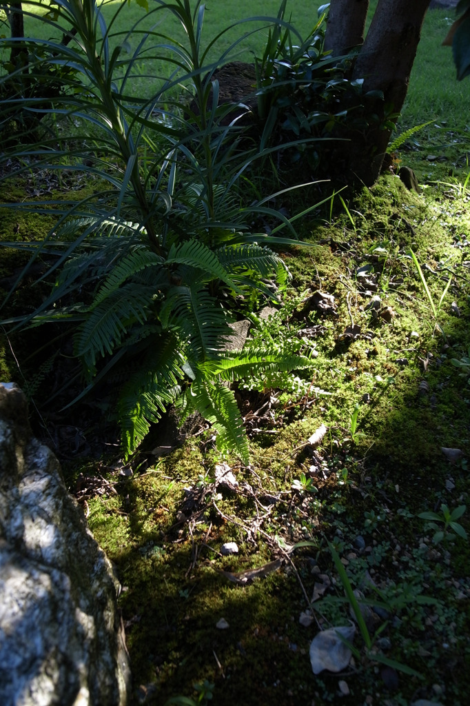 R0010117