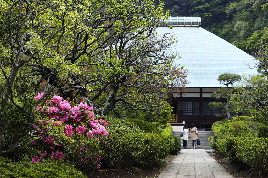 古刹逍遥Ⅳ（浄妙寺）