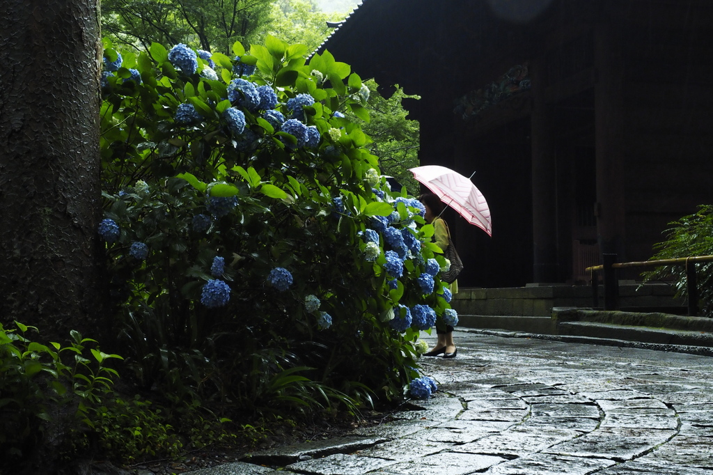 雨にぬれても