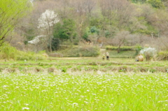 春けく野辺に