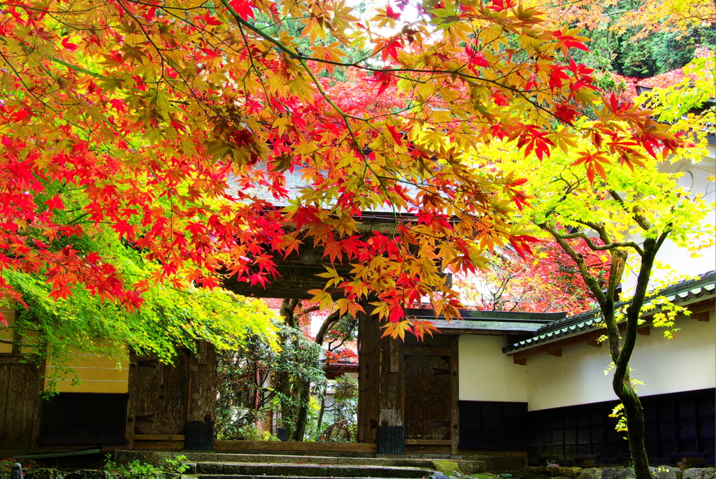 200711横蔵寺（ご参考）