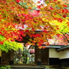 200711横蔵寺（ご参考）