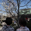 きれいね～