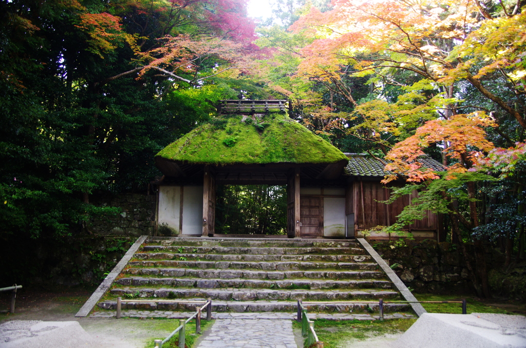 201011一瞬の間　法然院