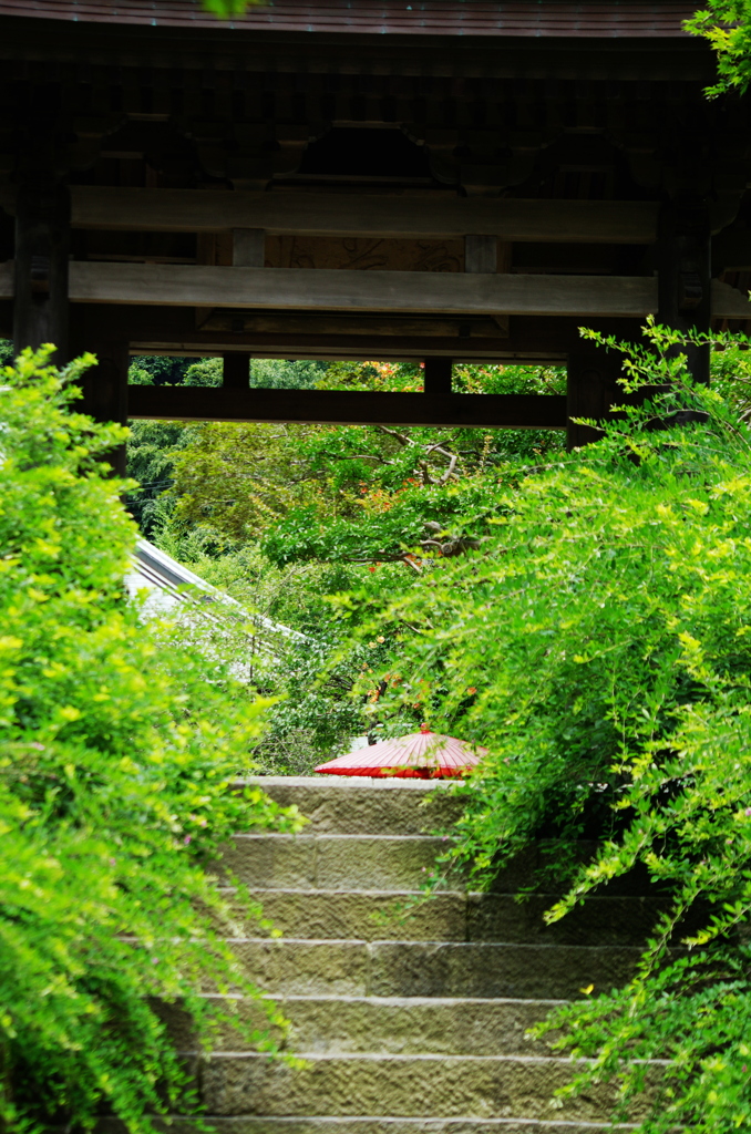 息きる階(きざはし）