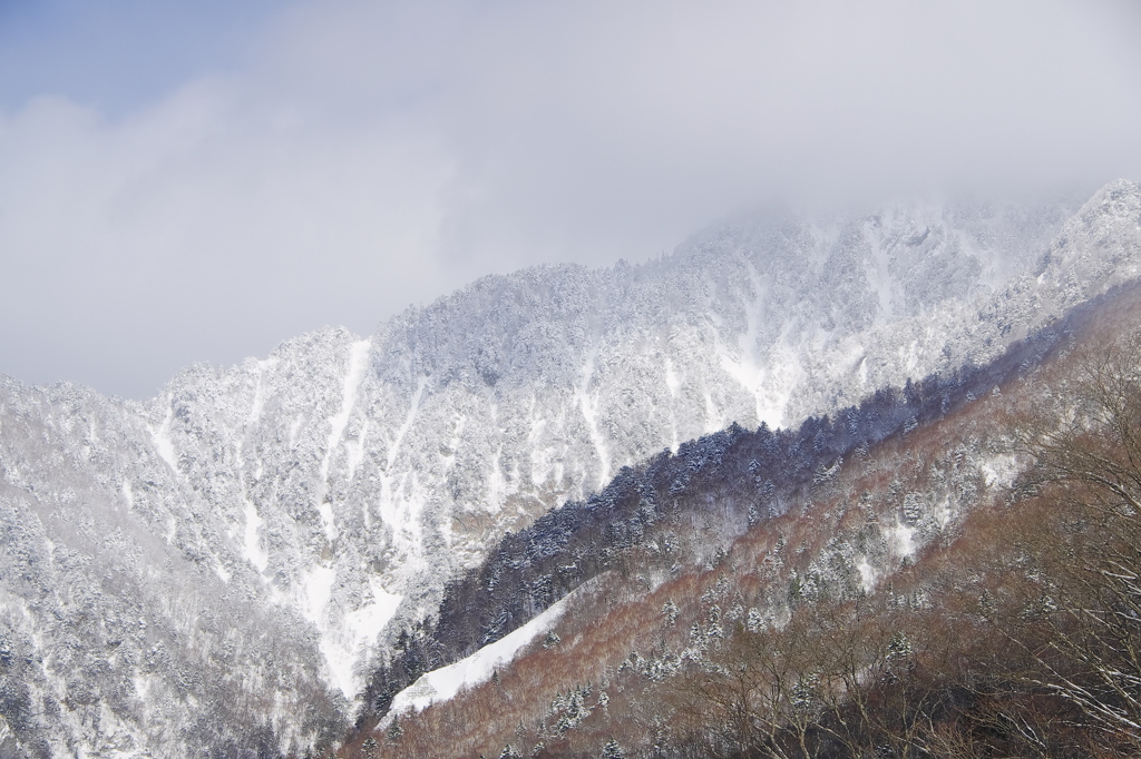 雪肌事情