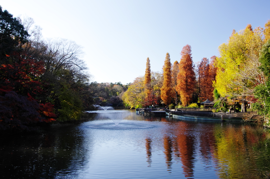 公園の秋Ⅲ