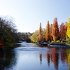 公園の秋Ⅲ