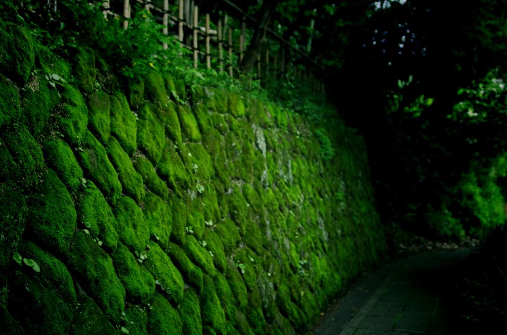 小路を行けば