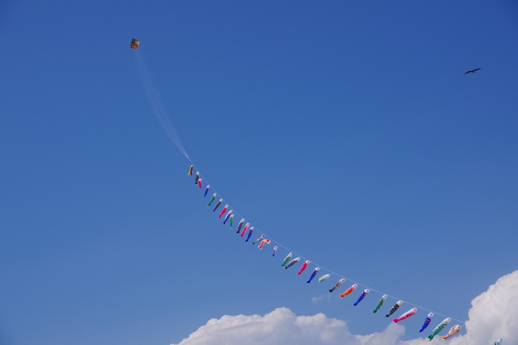 青空に舞う