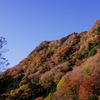 肌染めて