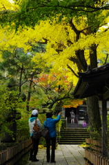 鎌倉紅葉情報2-7（安国論寺）