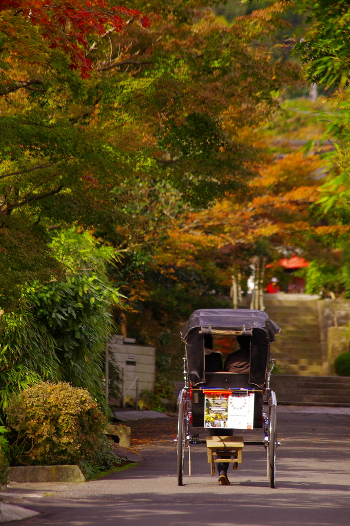 秋深まりゆくⅫ（海蔵寺界隈）