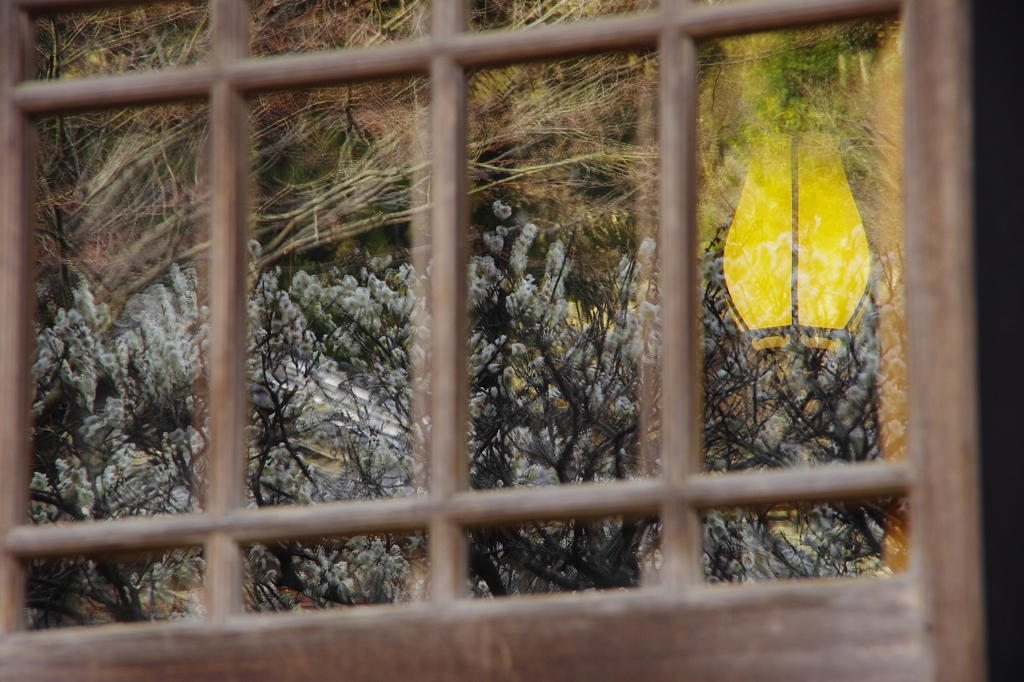 映りて（円覚寺）