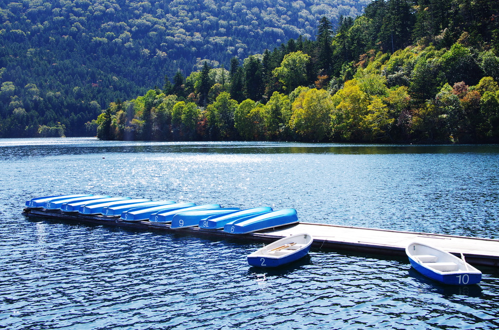 2008秋北海道紅葉情報9