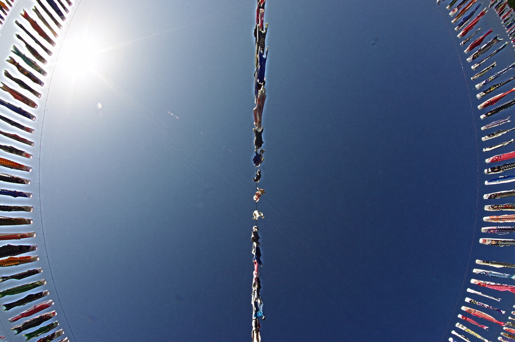 鯉のぼり　五月の空に　集結す!!!!!（FISH-EYE)