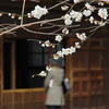 魅いる（浄智寺）