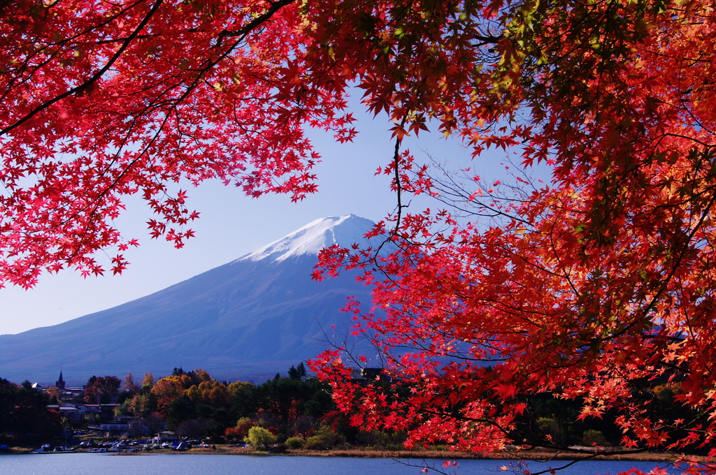 紅に抱かれて