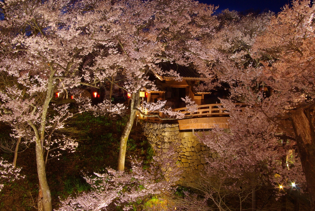 夜の問屋門高遠（2007/4-Ⅴ）