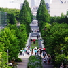 オアシス