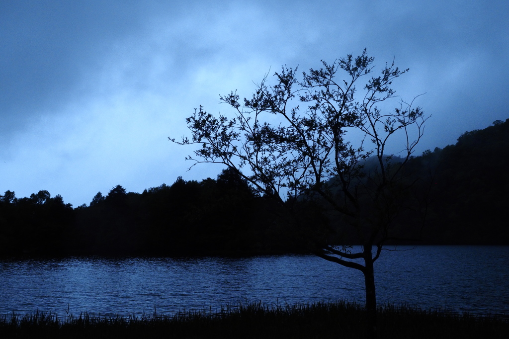 梅雨入りの湖畔