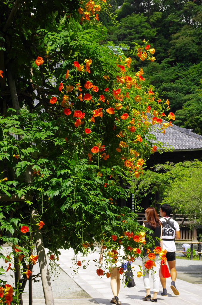 古都逍遥