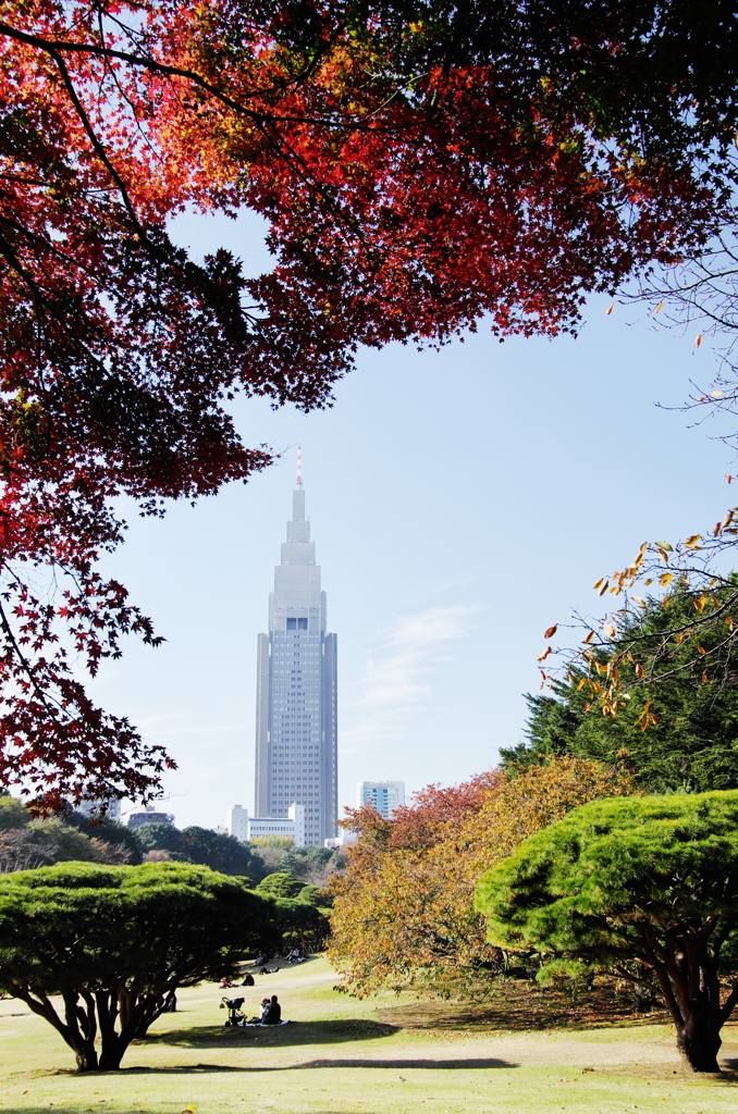 公園の秋Ⅰ