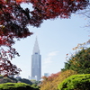 公園の秋Ⅰ