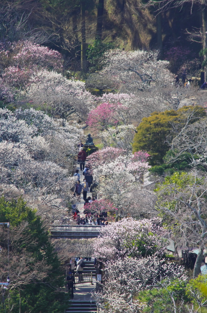 春の宴