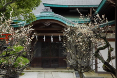 お出迎え（鶴岡八幡宮）