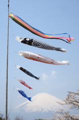 富士憧憬Ⅵ（平和公園：鯉のぼり）