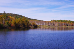 池畔の秋