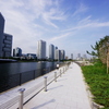 変わる景観