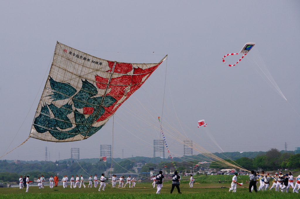 風待ちて　やっと離陸の　大凧や