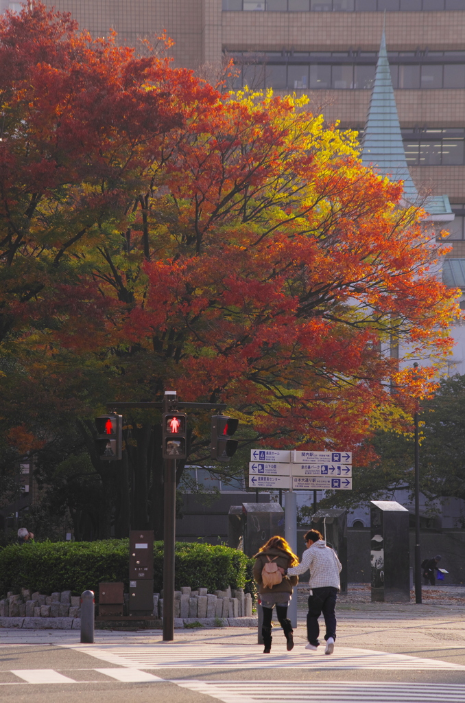 秋深まりゆくXⅨ（街角紅葉Ⅳ）