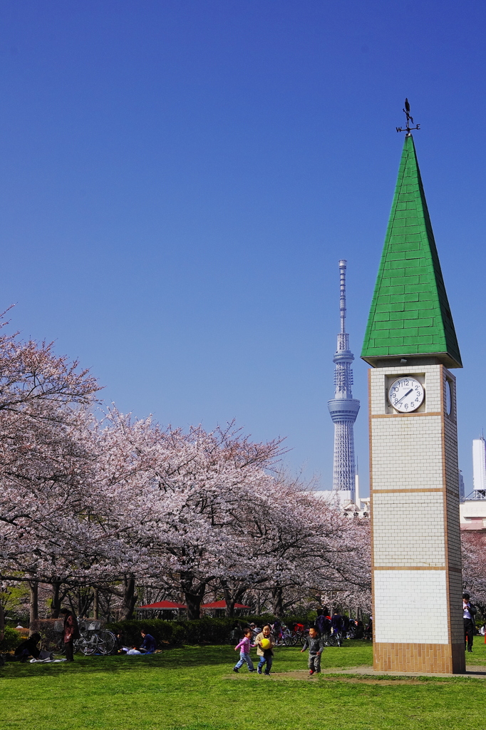 桜姿9 江東区猿江恩賜公園 By おおねここねこ Id 写真共有サイト Photohito