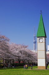 桜姿9（江東区猿江恩賜公園）