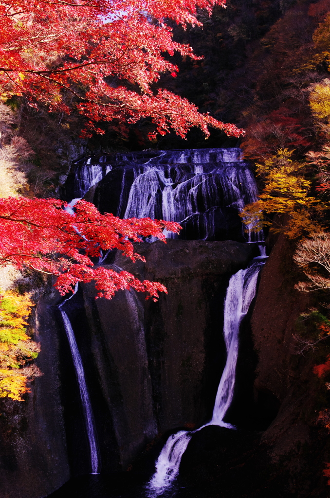 袋田の滝紅葉だより