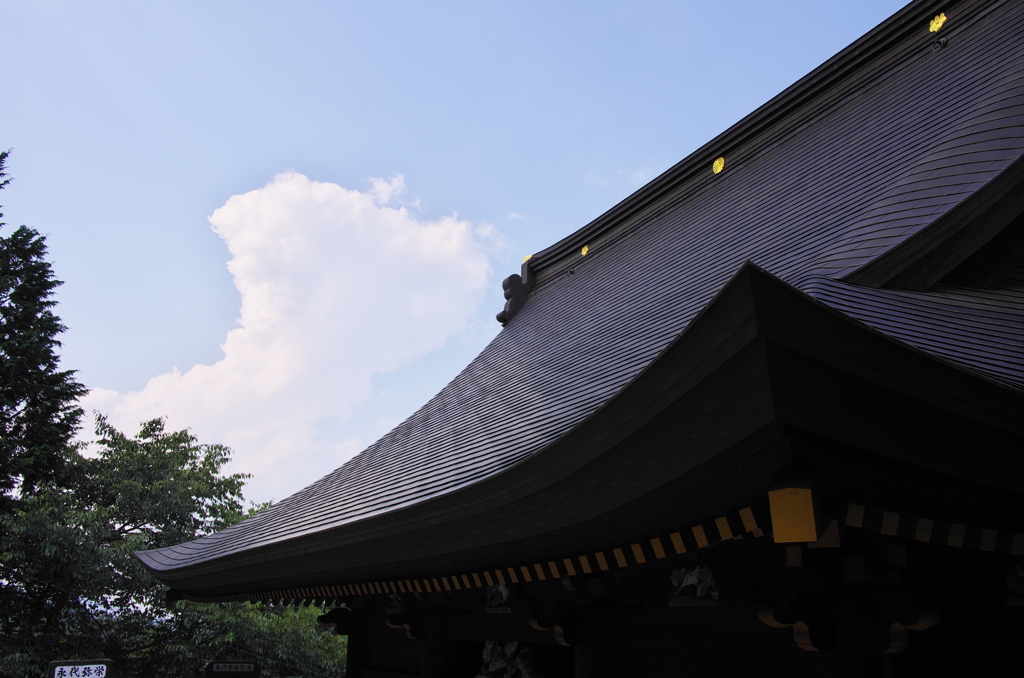 夏の想い出