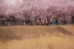 一足お先に