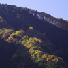紅葉流麗