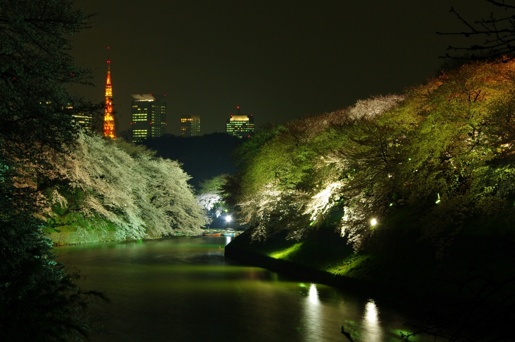 20080327千鳥が淵